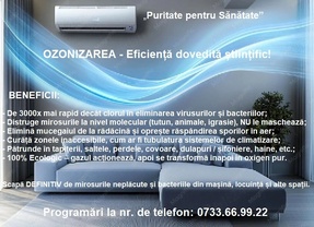 Service service a personne