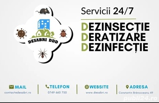 Service service a personne
