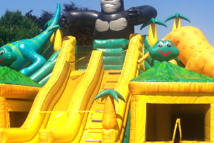 Location garde de chateau gonflable