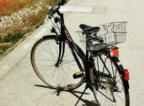 Location velos