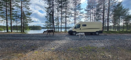 Location diesel