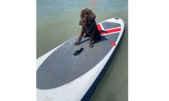 Location paddle