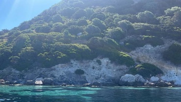 Location bateau a moteur