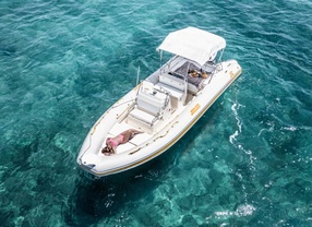 Location bateau a moteur