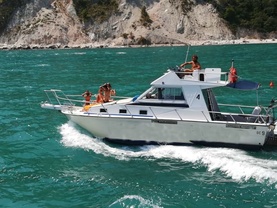 Location bateau a moteur