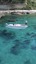 Location bateau a moteur
