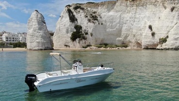 Location bateau a moteur
