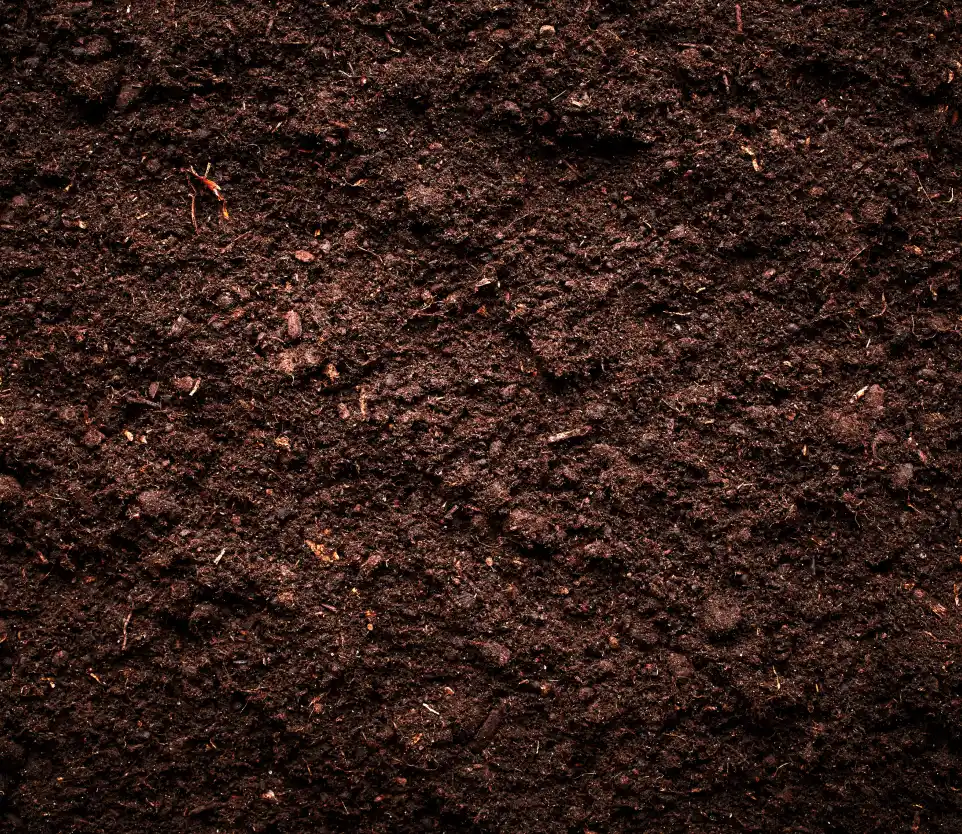 Location : enfouisseur de pierre