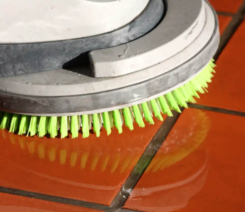 Location : monobrosse