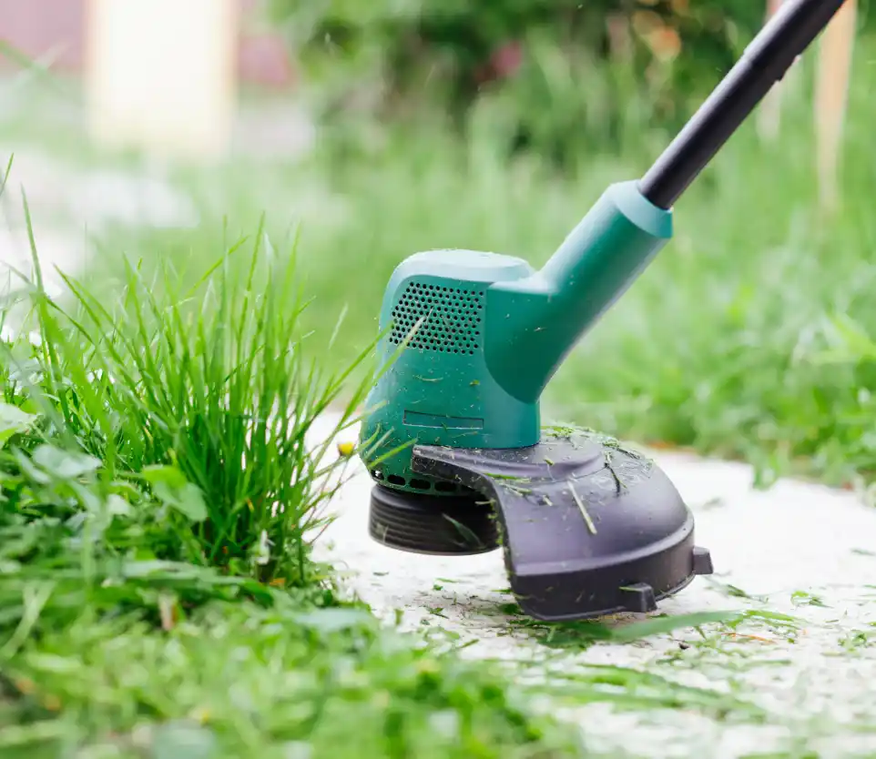 Location : debroussailleuse