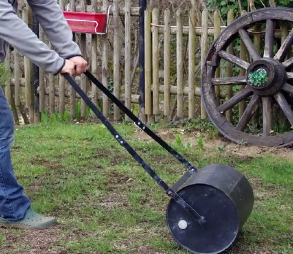 Location : rouleau a gazon