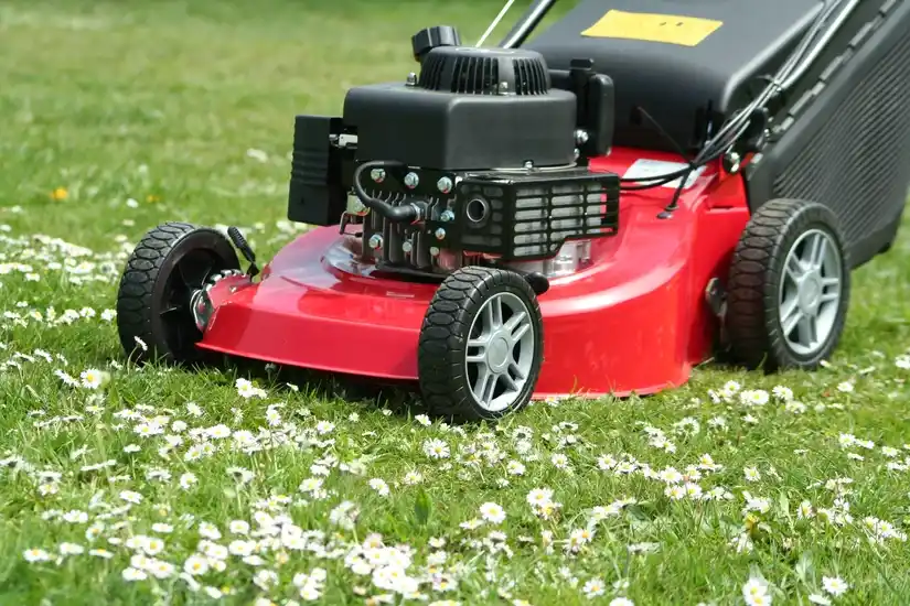 Location : scarificateur