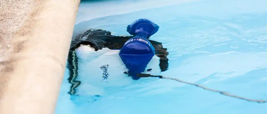 Location : robot piscine