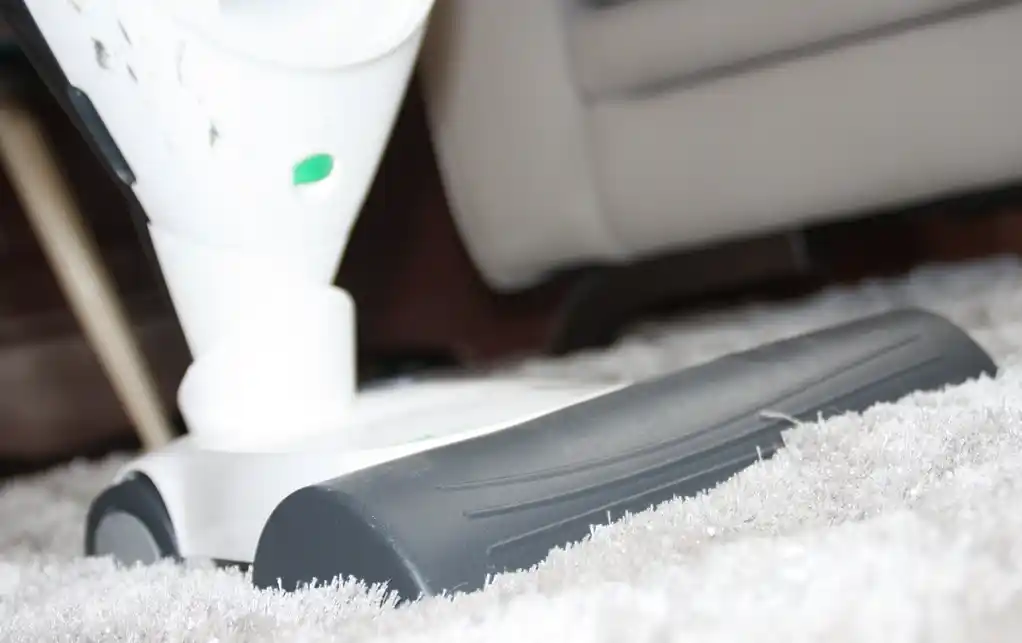 Location : shampouineuse