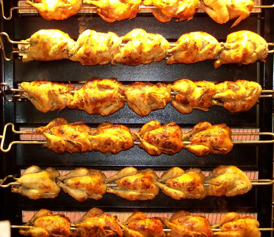 Location : tourne broche