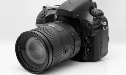 Location reflex numerique 91 entre particuliers