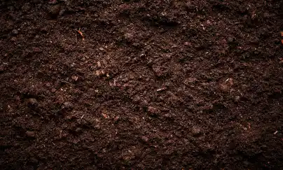 Location enfouisseur de pierre 54 entre particuliers