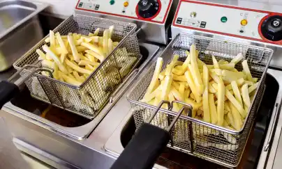 Location friteuse 90 entre particuliers