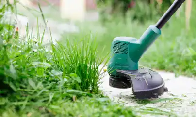 Location debroussailleuse 83 entre particuliers