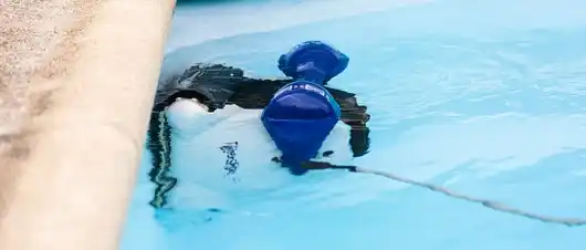 Location robot piscine 87 entre particuliers