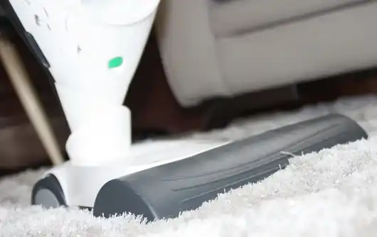 Location shampouineuse 67 entre particuliers