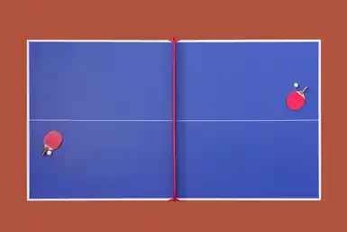 Location table ping pong 71 entre particuliers