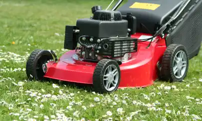 Location tondeuse 49 entre particuliers