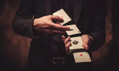 Service animations 26 entre particuliers