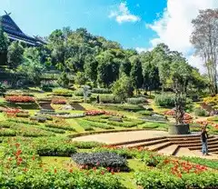 Service paysagiste 62 entre particuliers